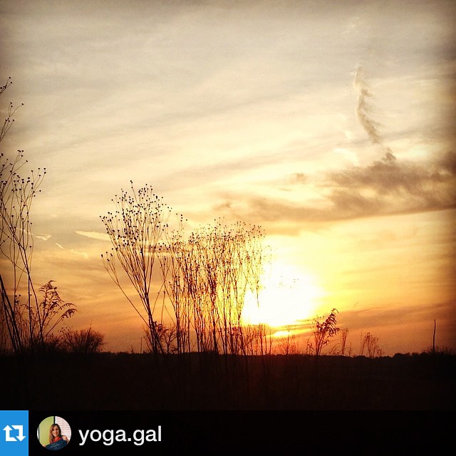 Peck Farm Sunset - Karen Muehlfelt